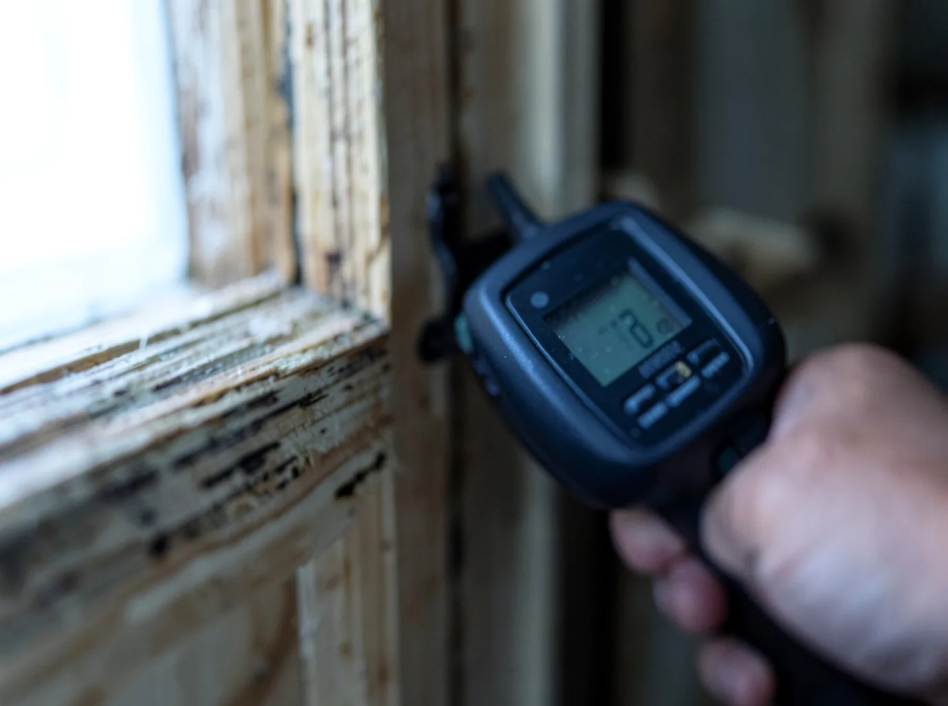 Water Damage Restoration Lexington, AL FAQs